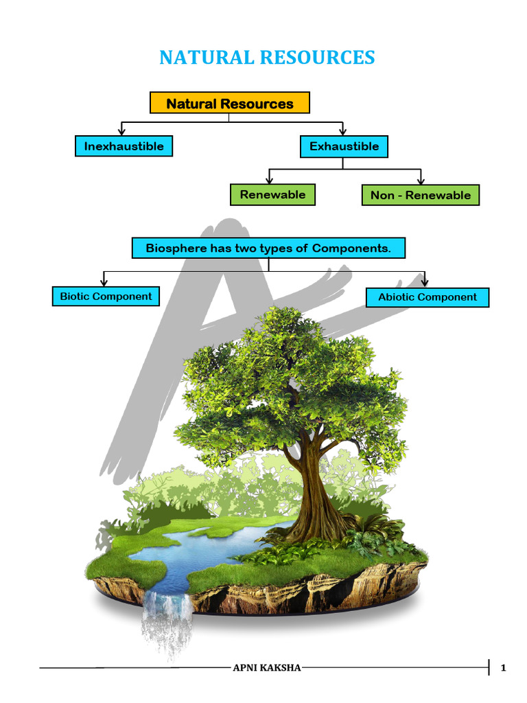 Understanding Natural Resources and Biosphere | PDF | Nitrogen | Ozone ...
