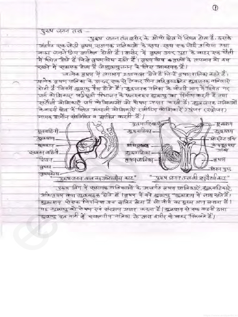 Class 12 Jeev Vigyan Chapter 2 Notes Pdf