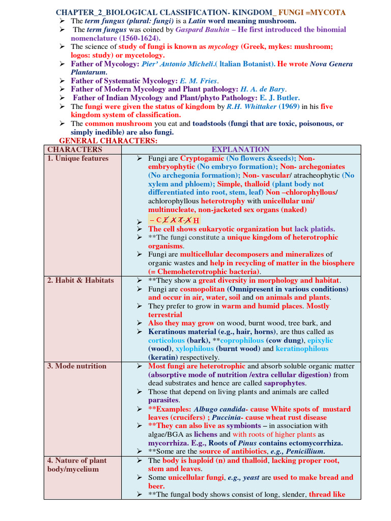 Overview of Fungi Classification and Characteristics | PDF | Fungus ...