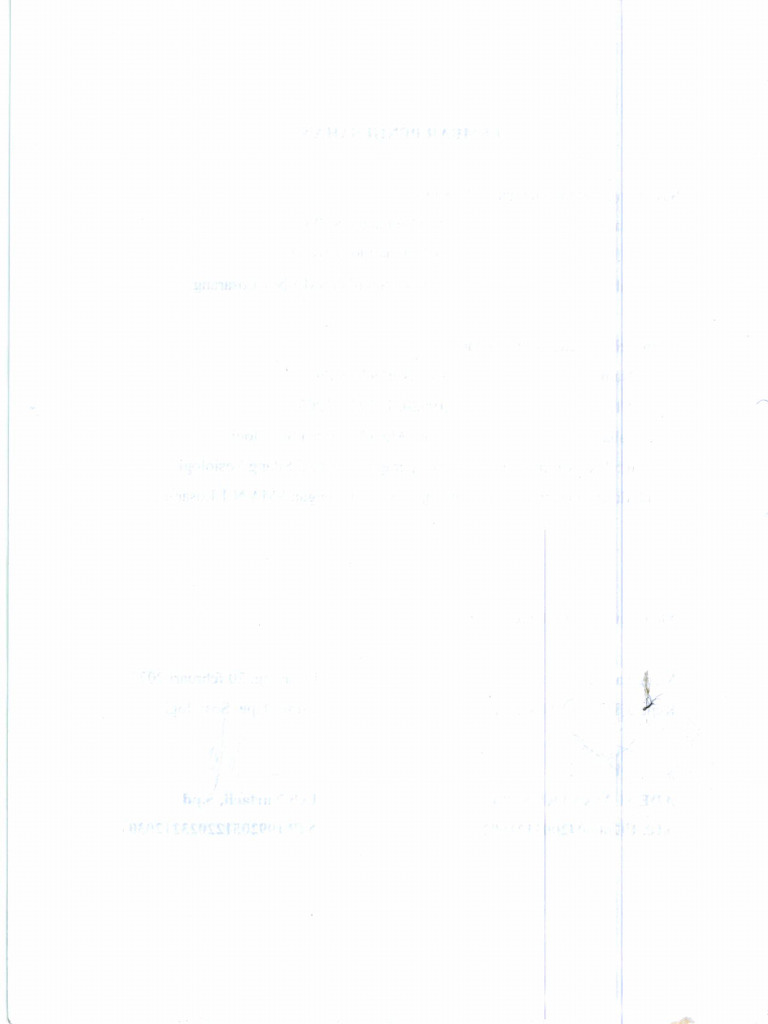 Leli 1 | PDF