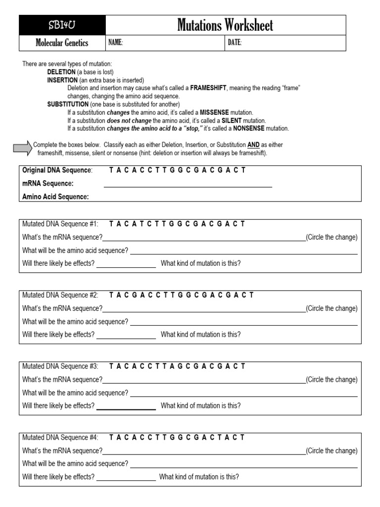 Types of Genetic Mutations Worksheet | PDF | Point Mutation | Nucleic ...