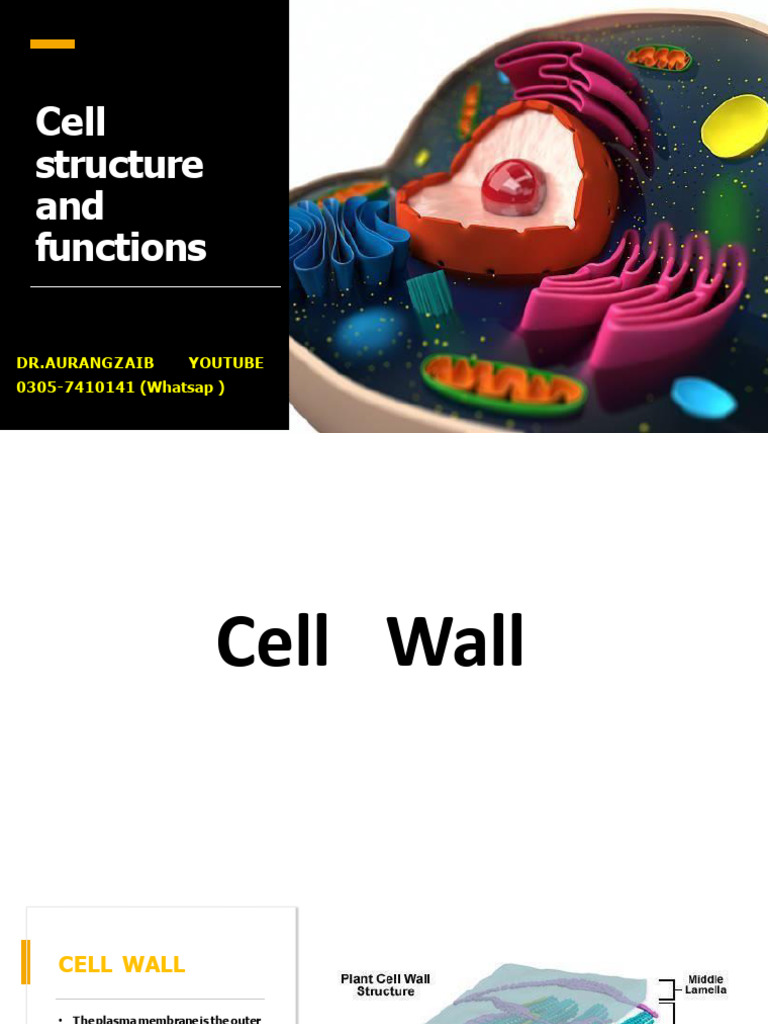 Lec 1-Cell Structure and Function-1 | PDF | Cell Membrane | Cell Wall