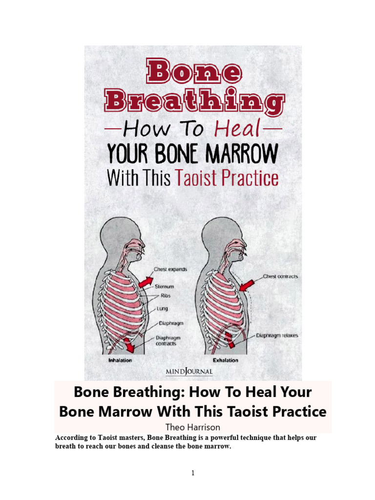 Bone Breathing for Bone Marrow Health | PDF | Bone | Breathing