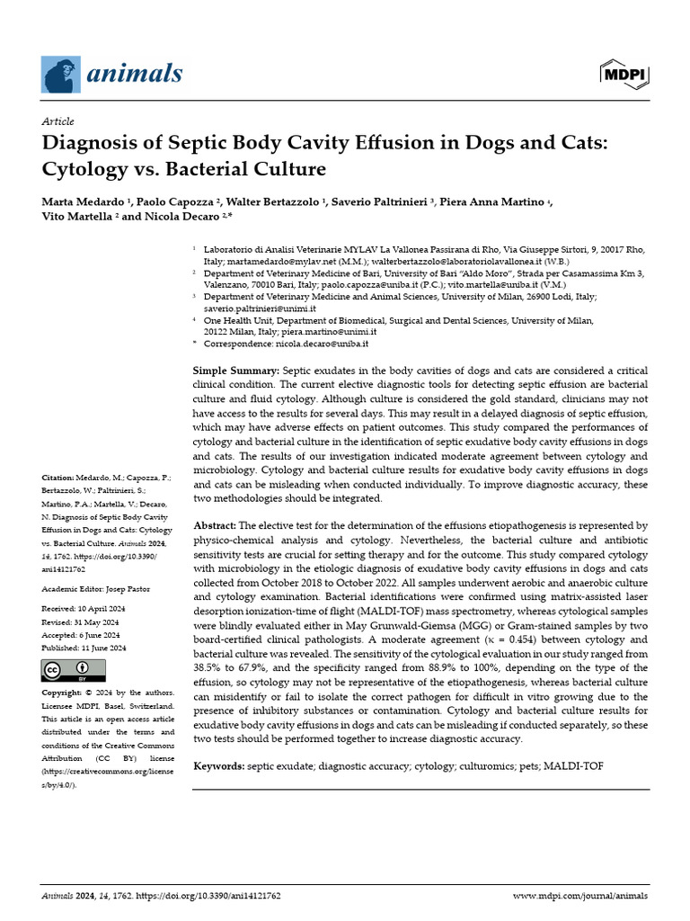 Sponge Body Cavity Type