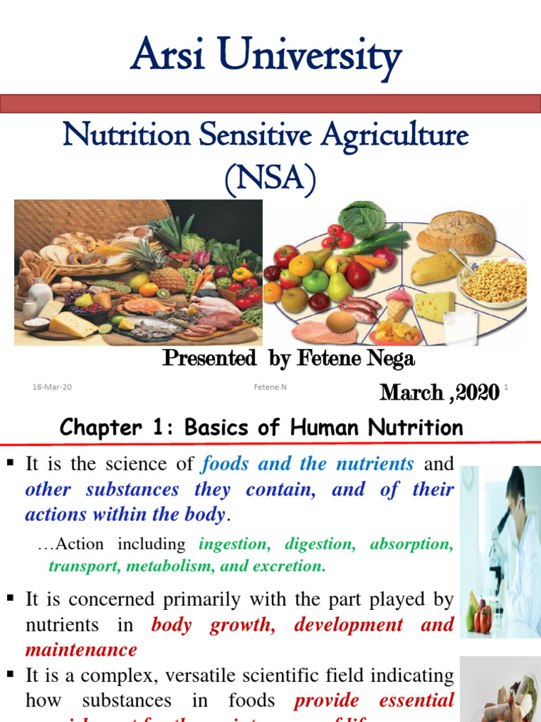 Nutrition Sensitive Agriculture Overview | PDF | Nutrition | Diet ...