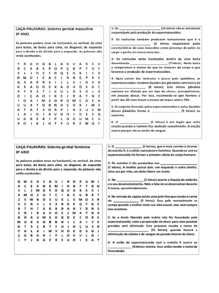 8º Ano. Caça Palavras | PDF
