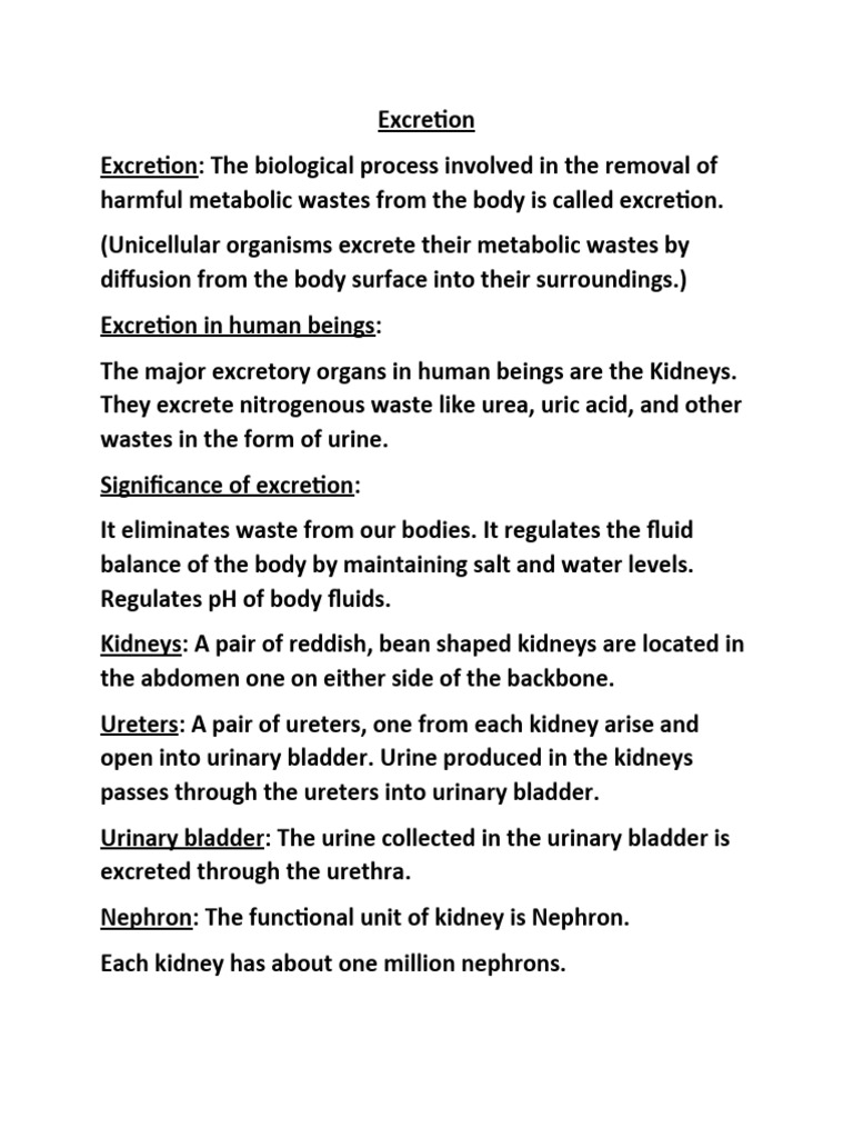 xam-idea-social-science-pdf-kidney-urinary-system