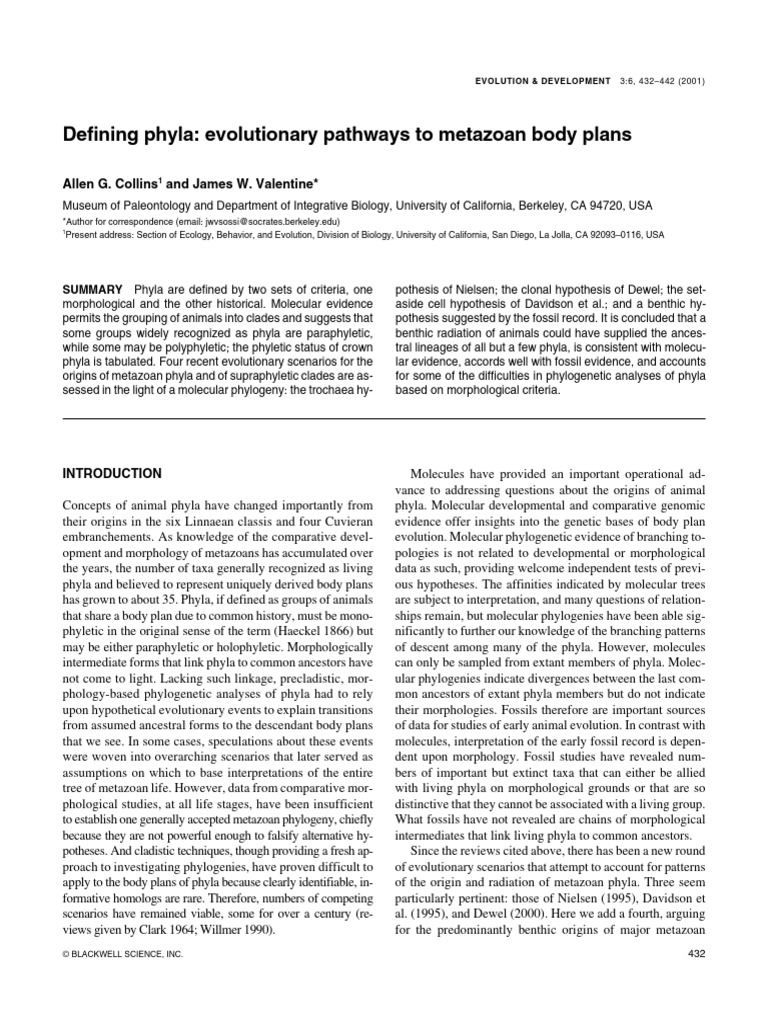 Evolution of Metazoan Phyla Explained | PDF | Phylogenetics | Sponge
