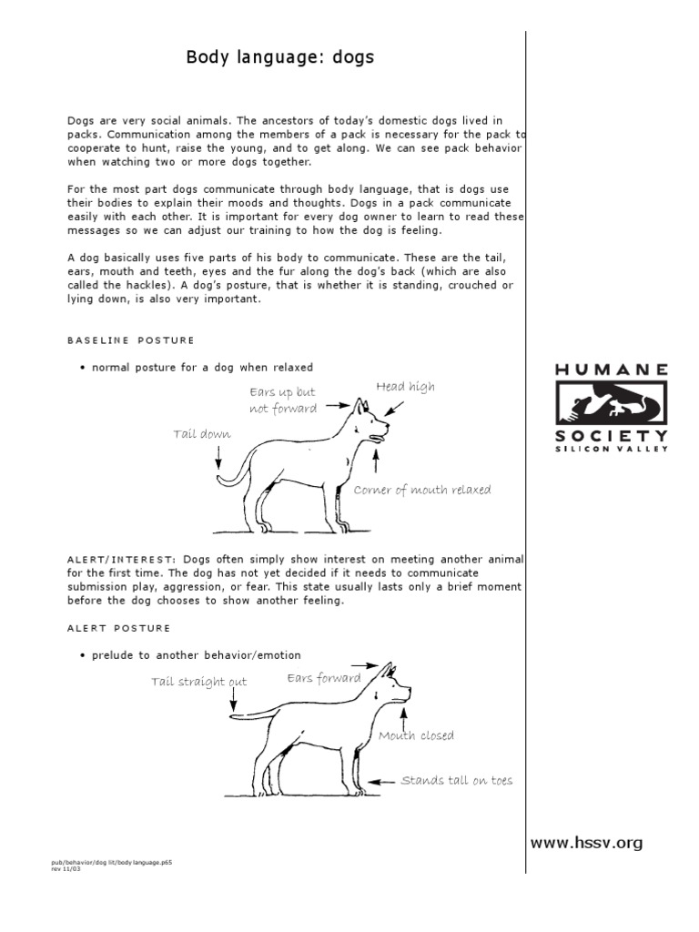 Dog Body Language PDF Body Language Pack (Canine)