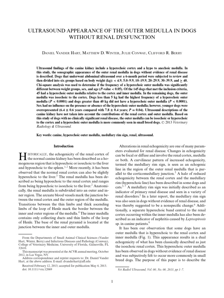 Hyperechoic Outer Medulla in Dogs | PDF | Kidney | Diseases And Disorders