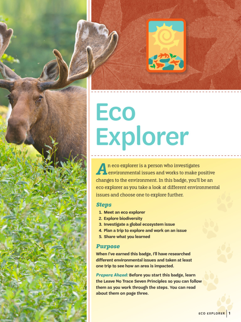 Eco Explorer Badge Requirements | PDF | Invasive Species | Biodiversity