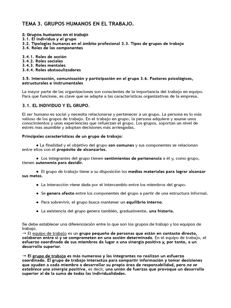 Grupos Humanos en el Trabajo: Tipos y Roles | PDF | Grupo de trabajo ...