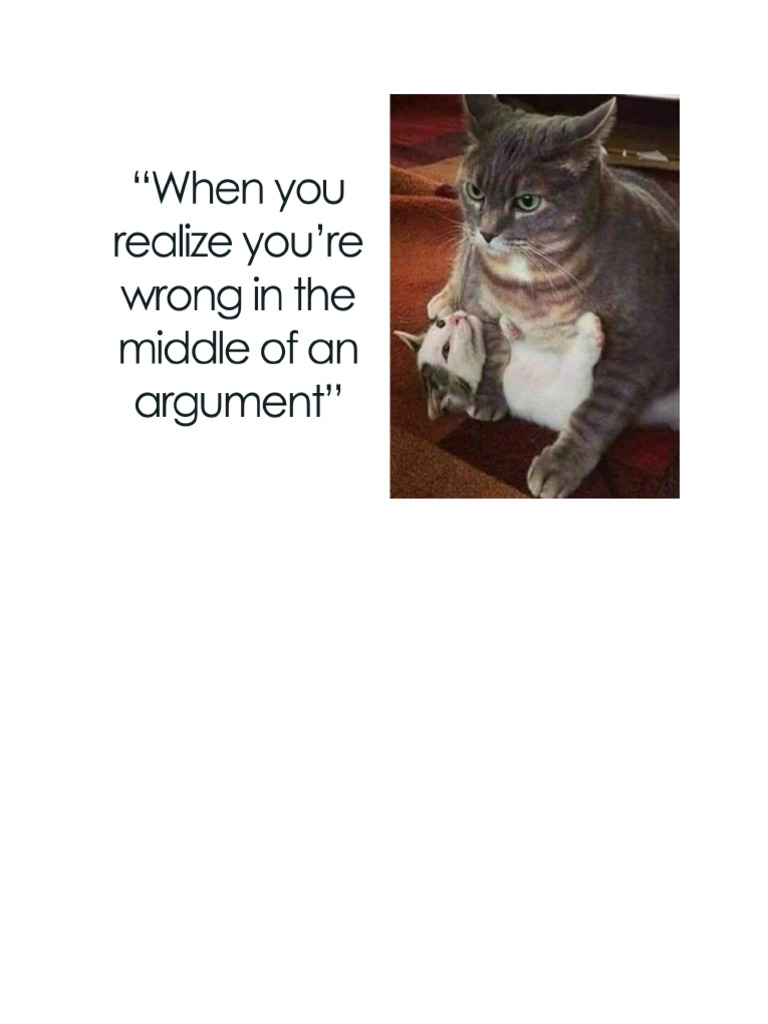 Cats Fighting Meme | PDF