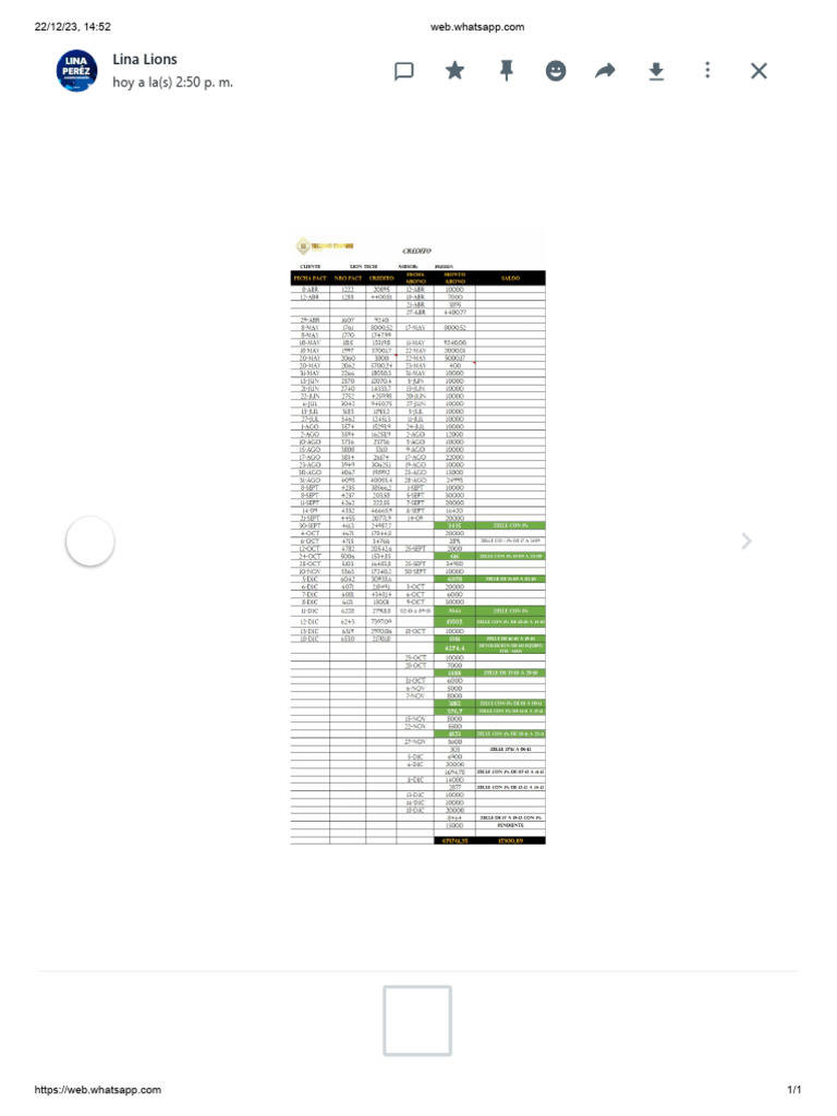 Libro pdf