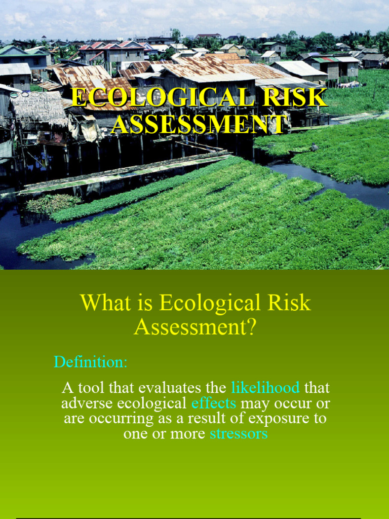 Risk Assessment Ecological VIII | PDF | Risk | Environmental Impact ...