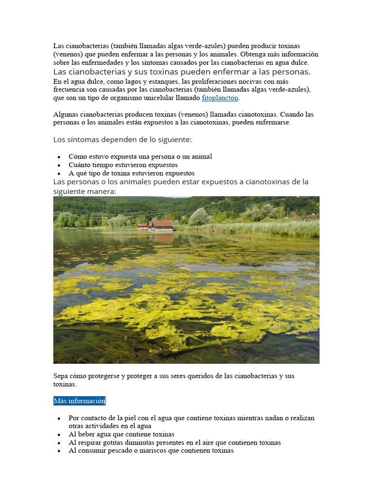 Anticyano Plancton Synechococcus 1000ml - Lucha Natural Contra Cianobacterias En Acuarios