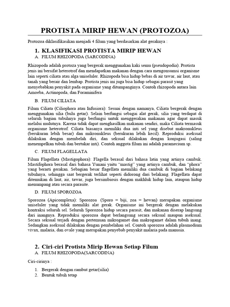 Contoh Protista Mirip Hewan | PDF