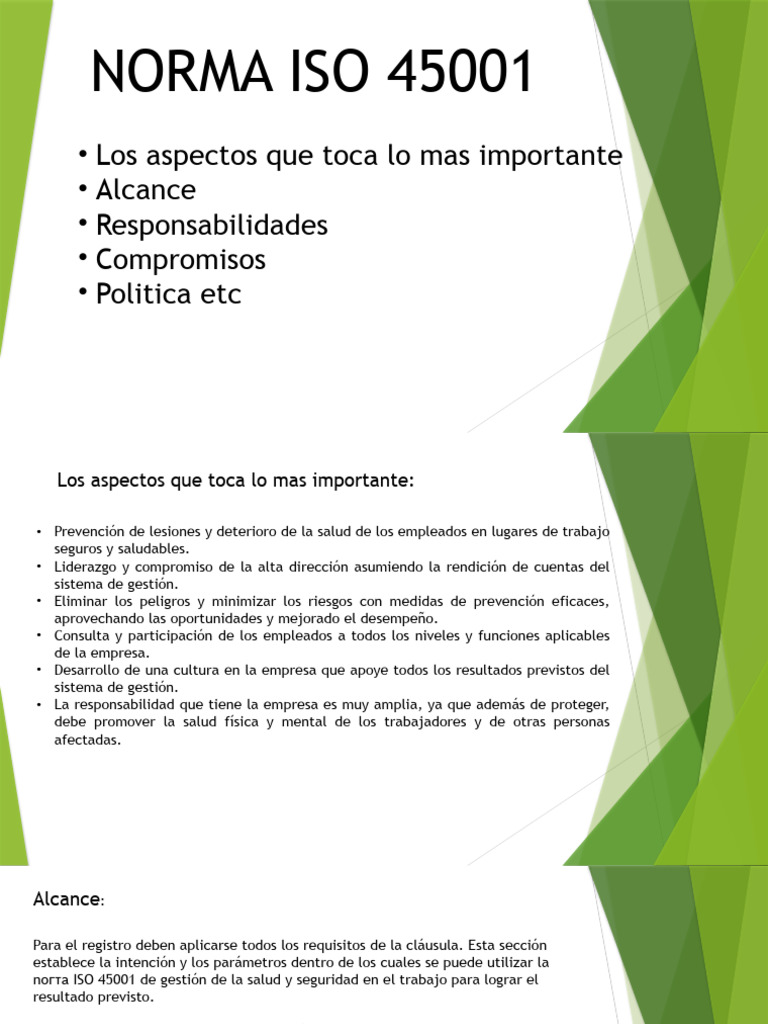 norma iso 45001 | Descargar gratis PDF | Valores