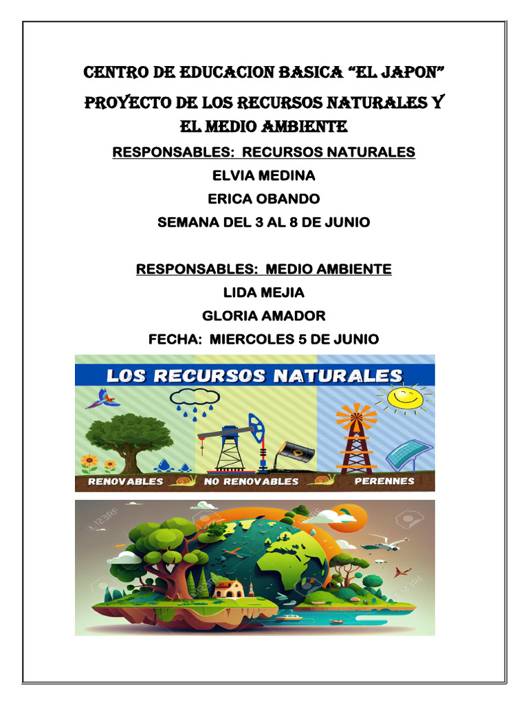 Proyecto de Recursos Naturales y El Medio Ambiente | PDF | Entorno ...