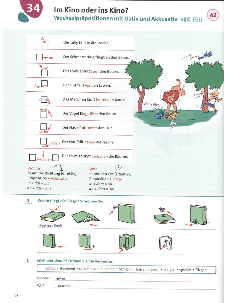 Grammatik Aktiv A1 B1-80-81 | PDF