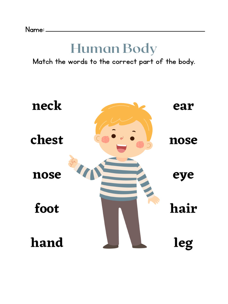 Human Body Parts Matching Game | PDF