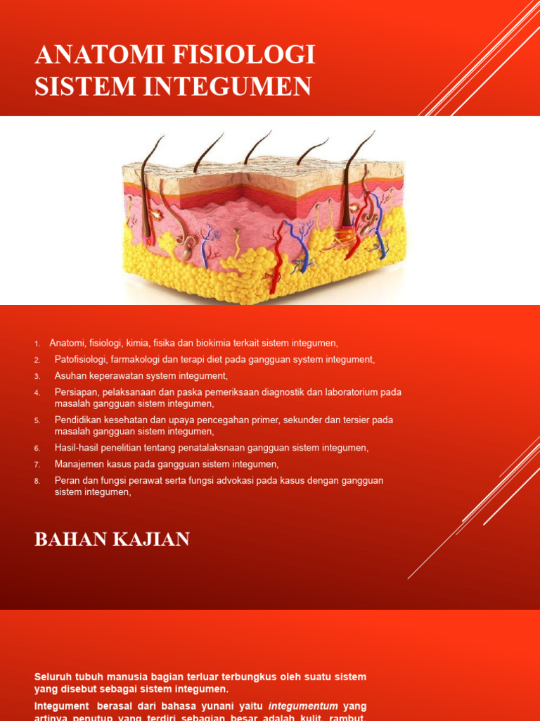 Sistem Integumen dan Patologi | PDF