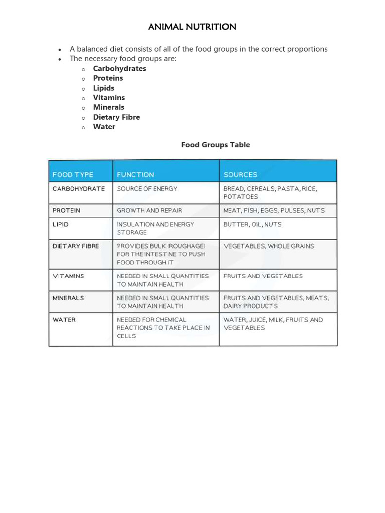 animal-nutrition-pdf-digestion-stomach
