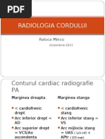 Radiologia Cordului: Raluca Mincu