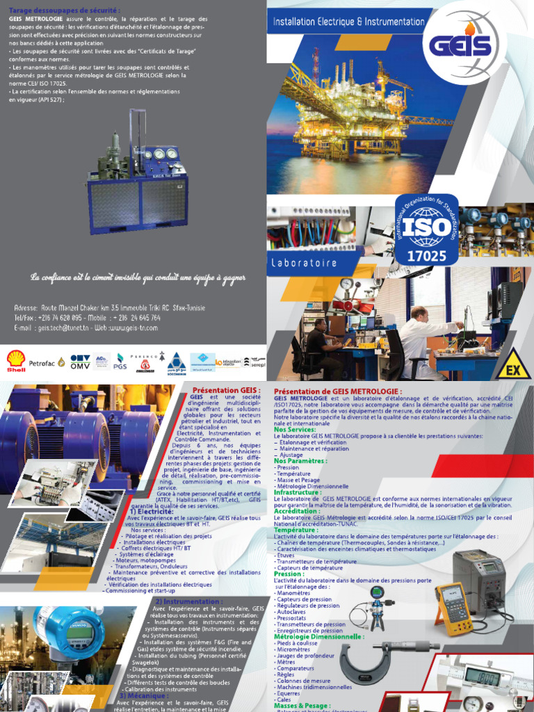 GEIS | PDF