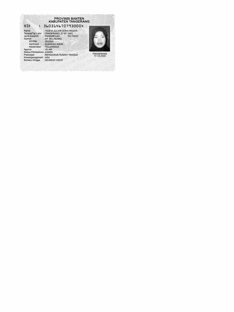 KTP Vesha | PDF