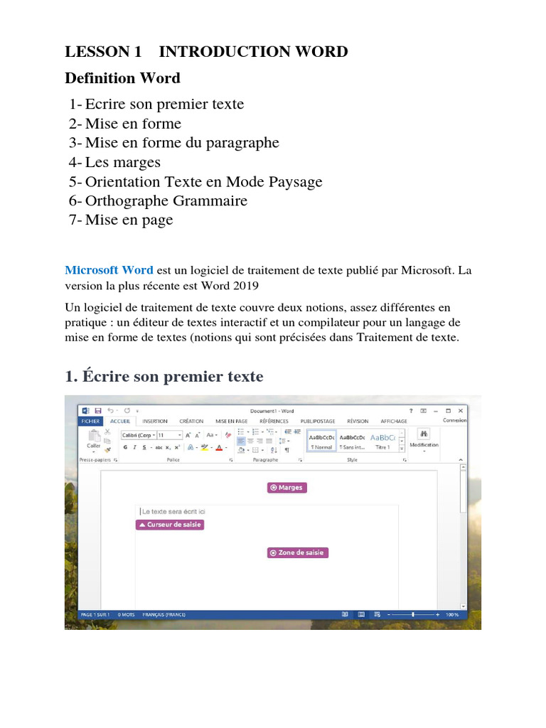 Introduction à Microsoft Word | PDF | Microsoft Word | Logiciel