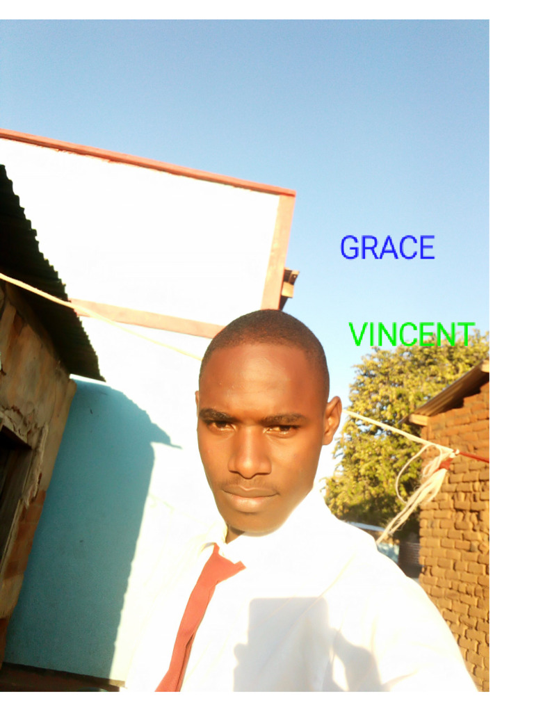 VINCENT | PDF