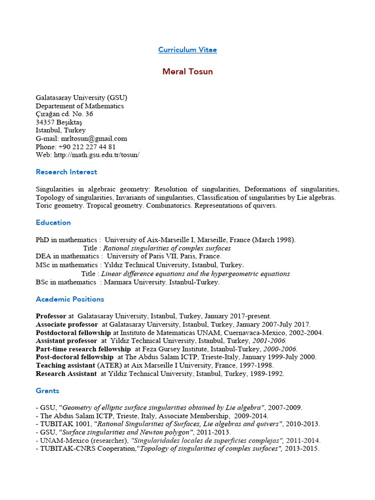 Meral Tosun's Mathematics CV | PDF | Geometry | Mathematics