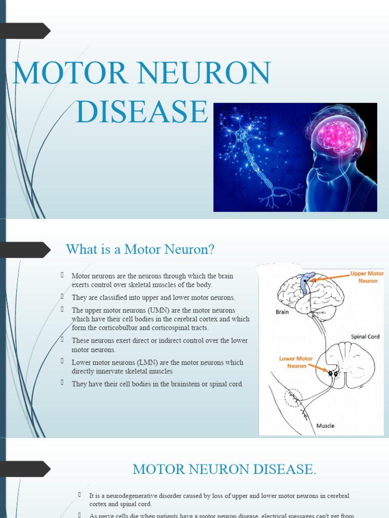 Motor Neuron Disease | PDF | Motor Neuron | Nervous System