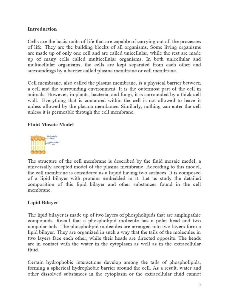 Structure Of The Cell Membrane Plasma Membrane Pdf Cell Membrane