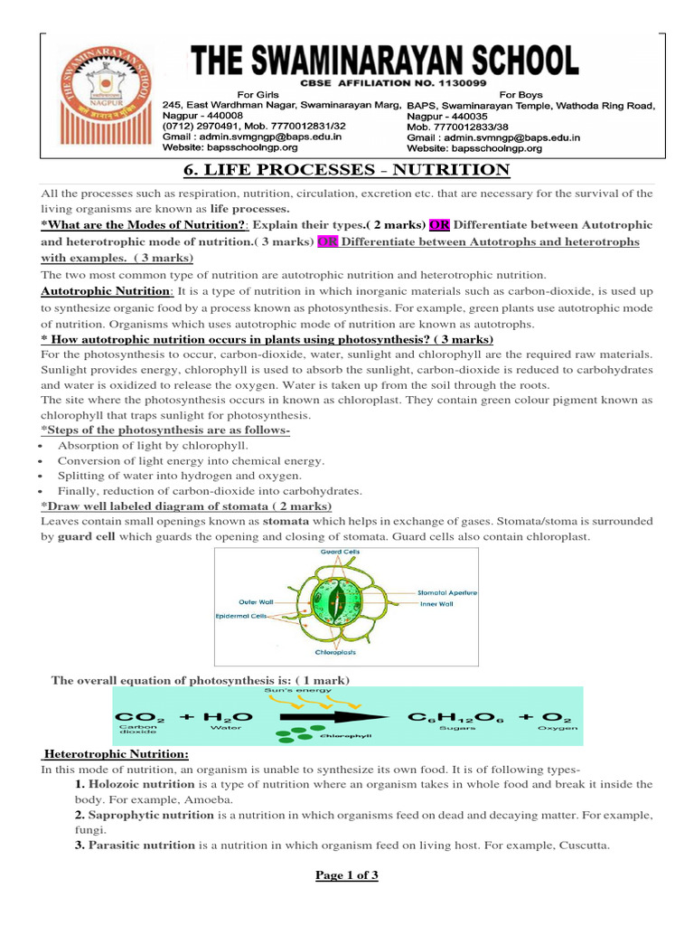 Life Processes - Nutrition - Notes | PDF | Digestion | Mouth