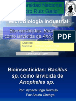 Presentación: Produccion de Bioinsecticidas A Base de Bacillus Sp.