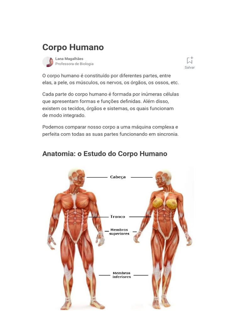 Entenda o Corpo Humano - Suas Partes, Órgãos e Anatomia - Toda Ma | PDF ...