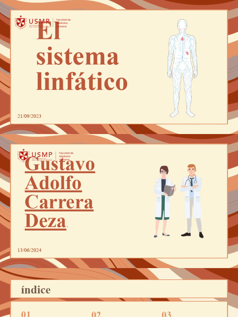 Sistema Linfático Pdf Sistema Linfático Linfa