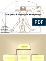 3-ramas-de-la-antropologa