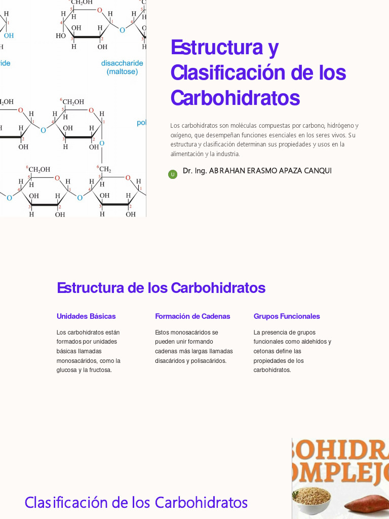 Estructura y Clasificación de Carbohidratos | PDF | Lípido | Carbohidratos