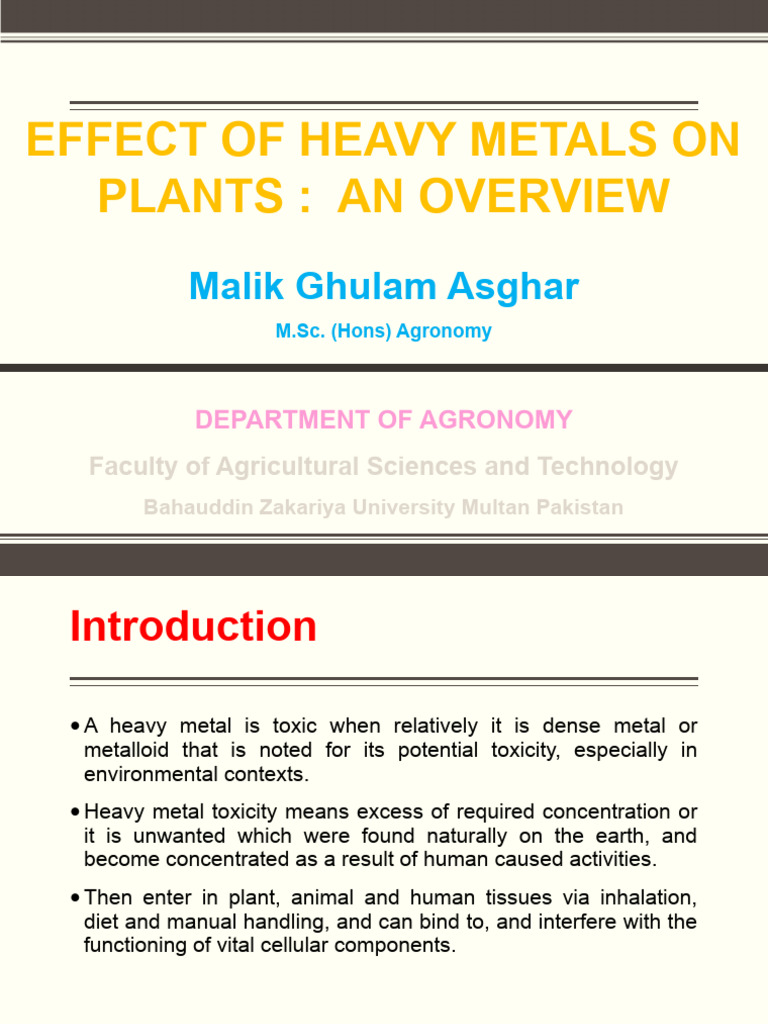 Effect of Heavy Metals On Plants: An Overview: Malik Ghulam Asghar ...