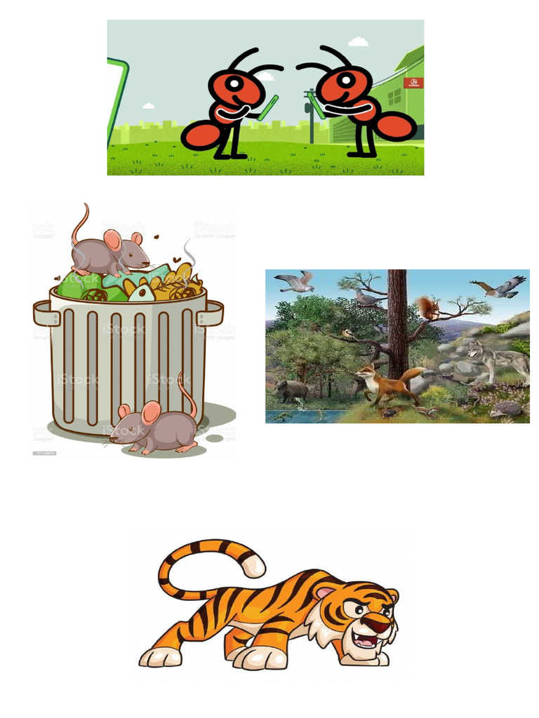 Animadas | PDF