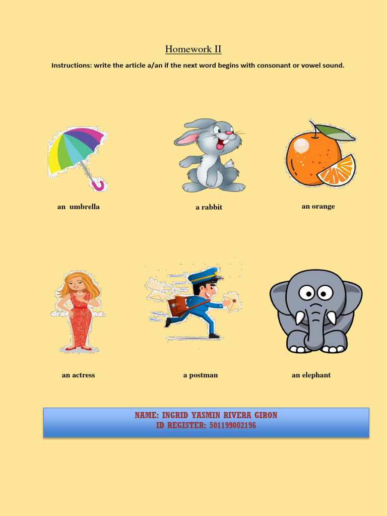 A/An Article Usage Homework Exercise | PDF