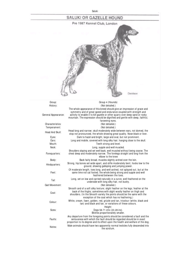 breed-standard-pre1987-aust-pdf-dogs-animal-breeding