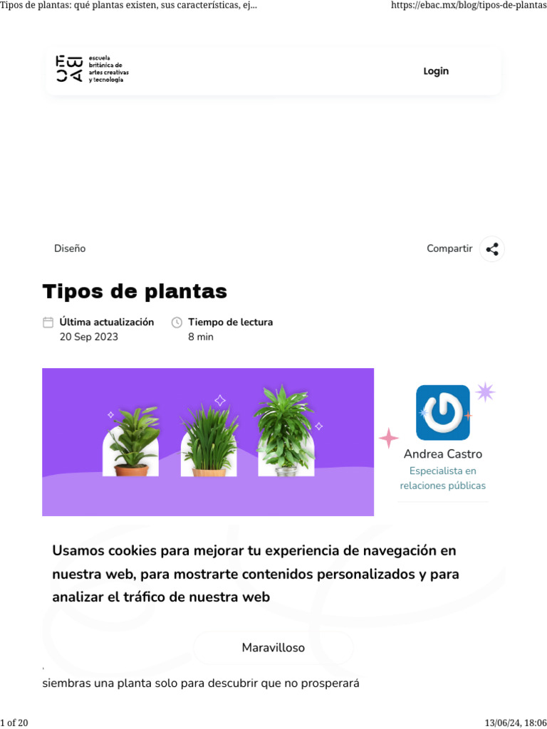 Tipos de plantas qu plantas existen sus caracter sticas ejemplos y