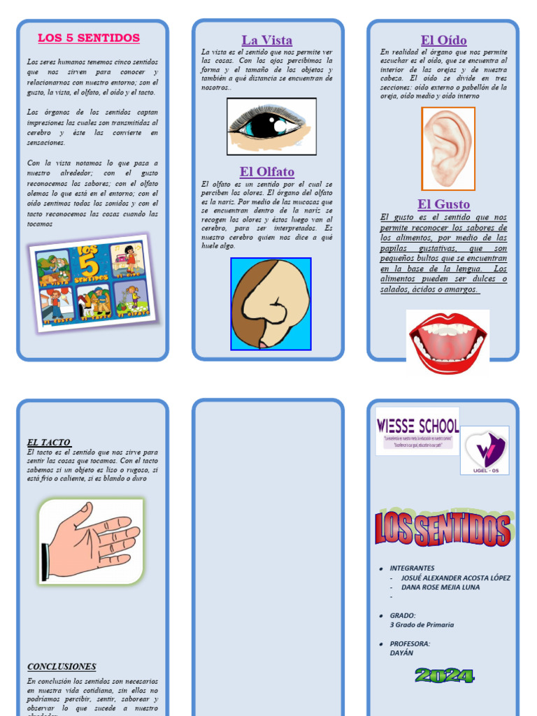 Los 5 Sentidos Pdf Gusto Sentidos