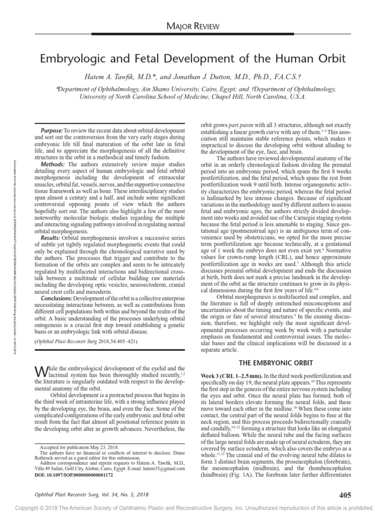 Orbit | PDF | Vein | Human Anatomy