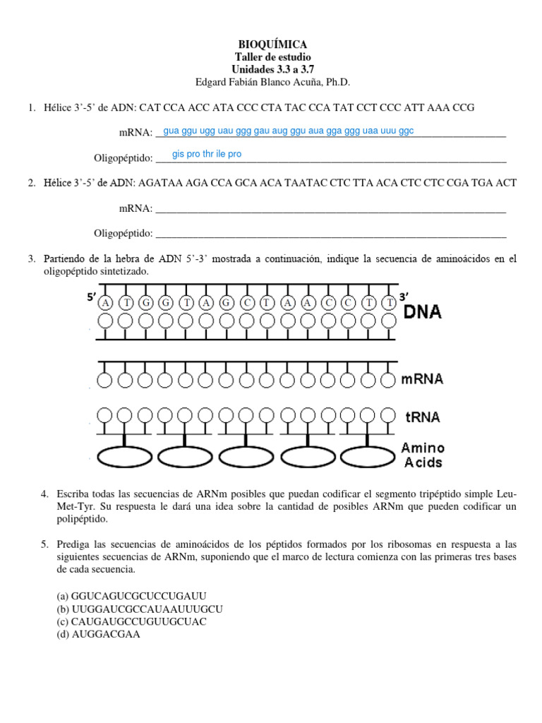 taller-de-estudio-final-de-bioqu-mica-pdf-trifosfato-de-adenosina