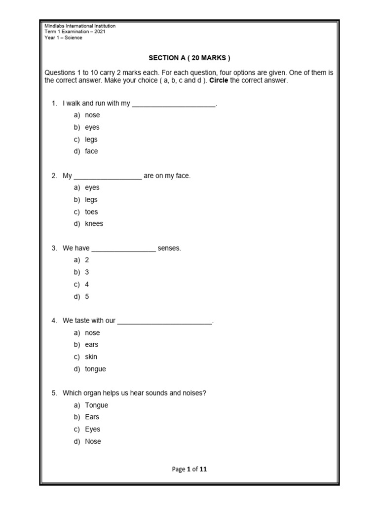 Year 1 Science Exam Questions 2021 | PDF | Senses | Taste